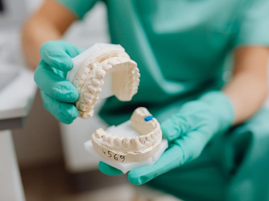 Holistic Dentist